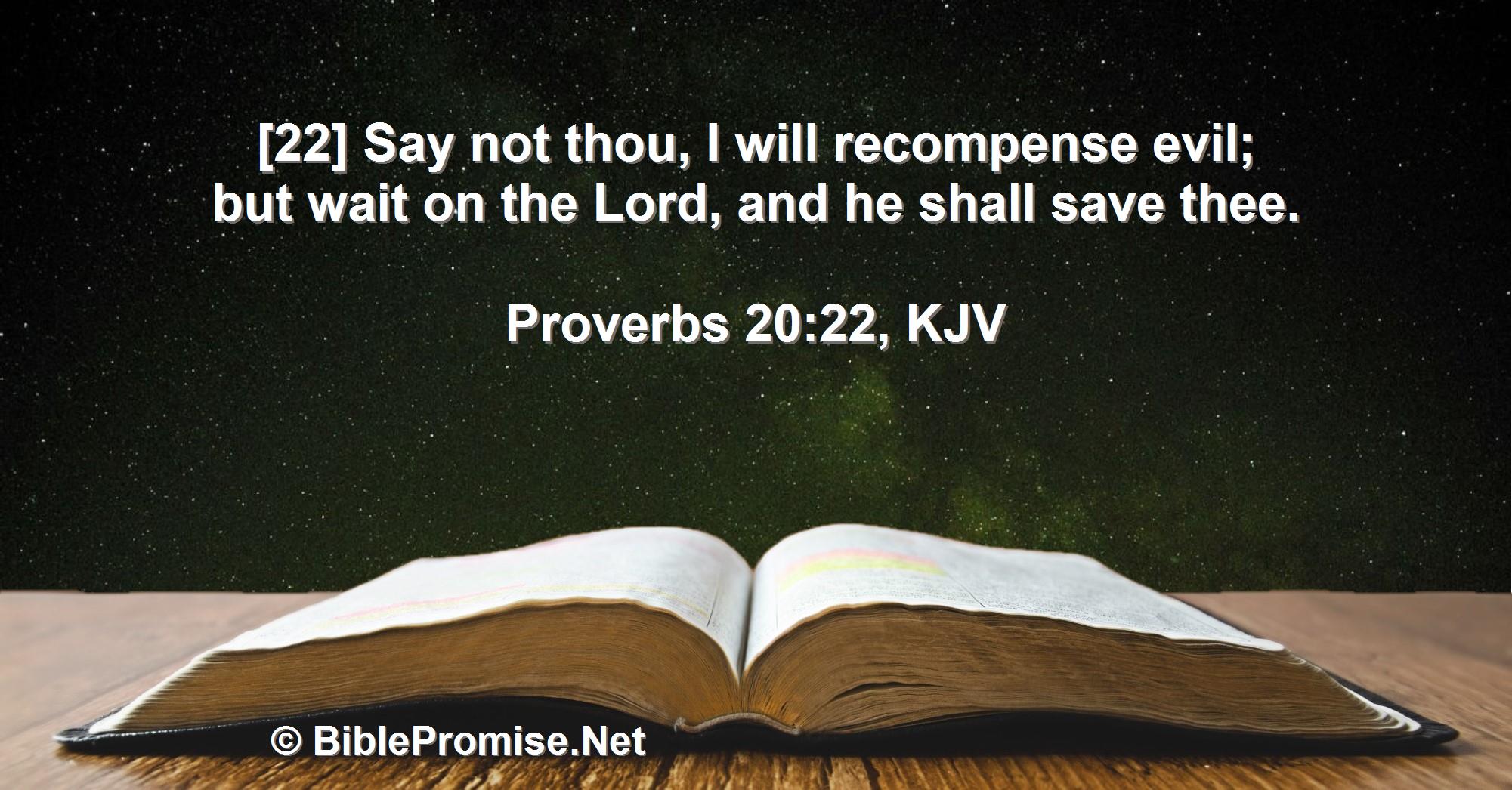 Search - Bible Promise